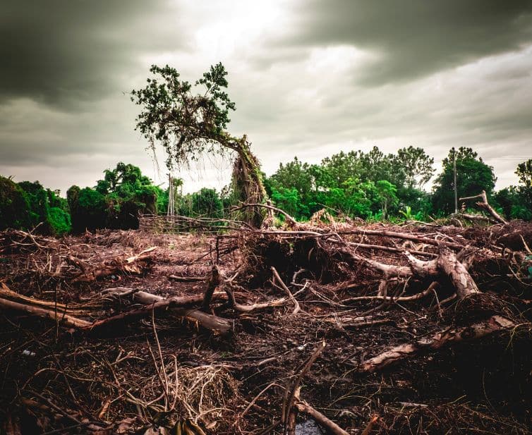 kerusakan lingkungan akibat industri pertambangan